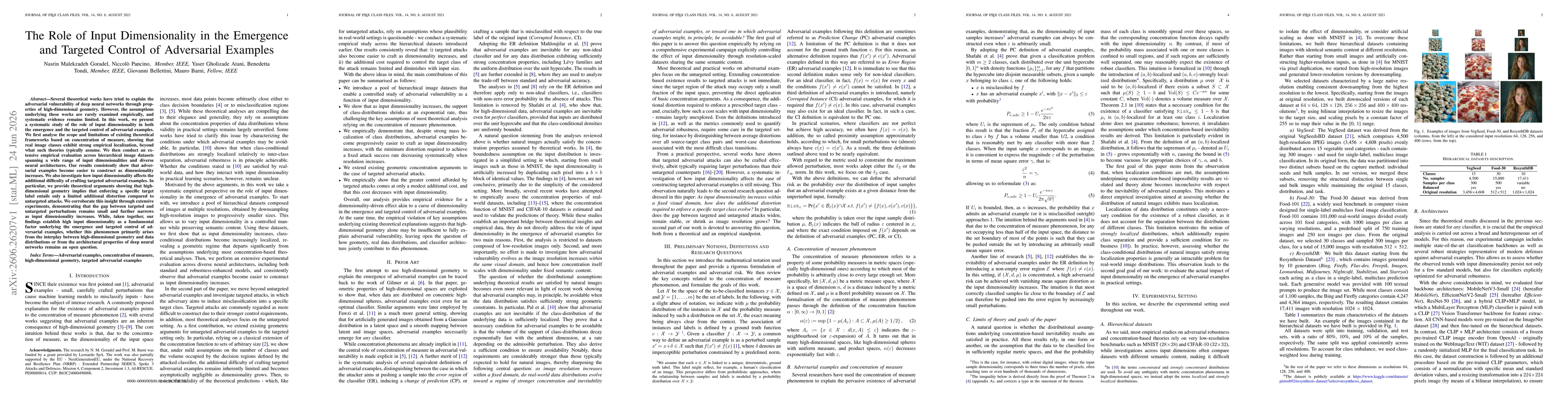 Thumbnail for The Role of Input Dimensionality in the Emergence and Targeted Control of Adversarial Examples