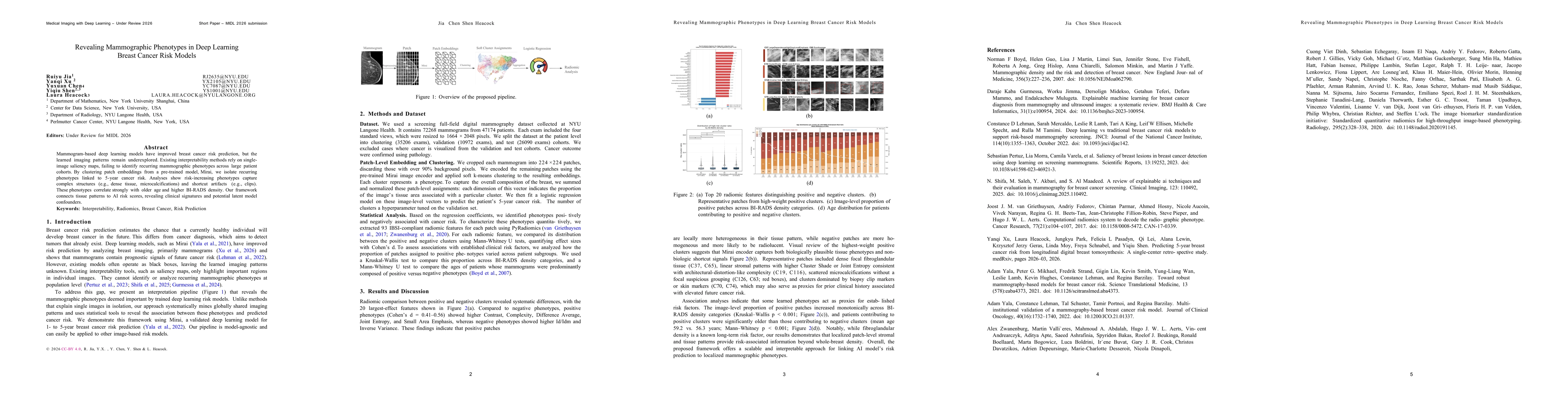 Thumbnail for Revealing Mammographic Phenotypes in Deep Learning Breast Cancer Risk Models