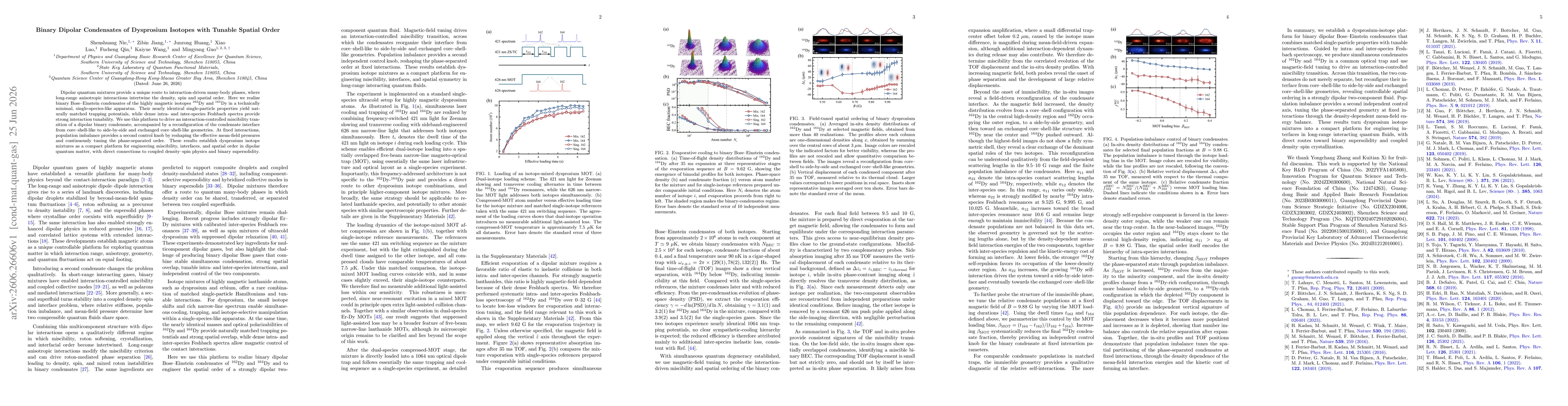 Thumbnail for Binary Dipolar Condensates of Dysprosium Isotopes with Tunable Spatial Order