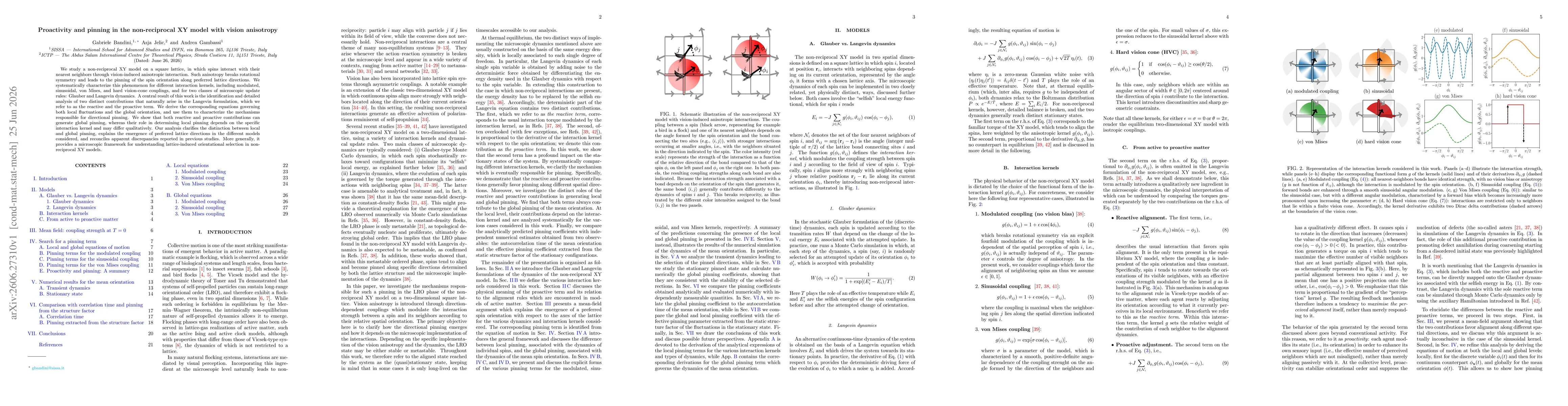 Thumbnail for Proactivity and pinning in the non-reciprocal XY model with vision anisotropy