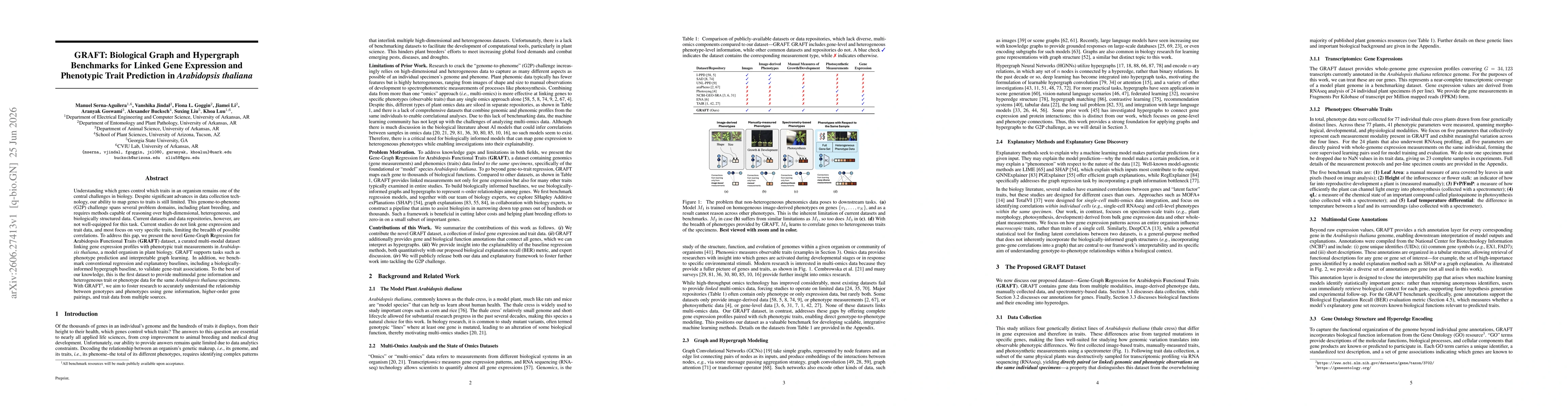 Thumbnail for GRAFT: Biological Graph and Hypergraph Benchmarks for Linked Gene Expression and Phenotypic Trait Prediction in Arabidopsis thaliana
