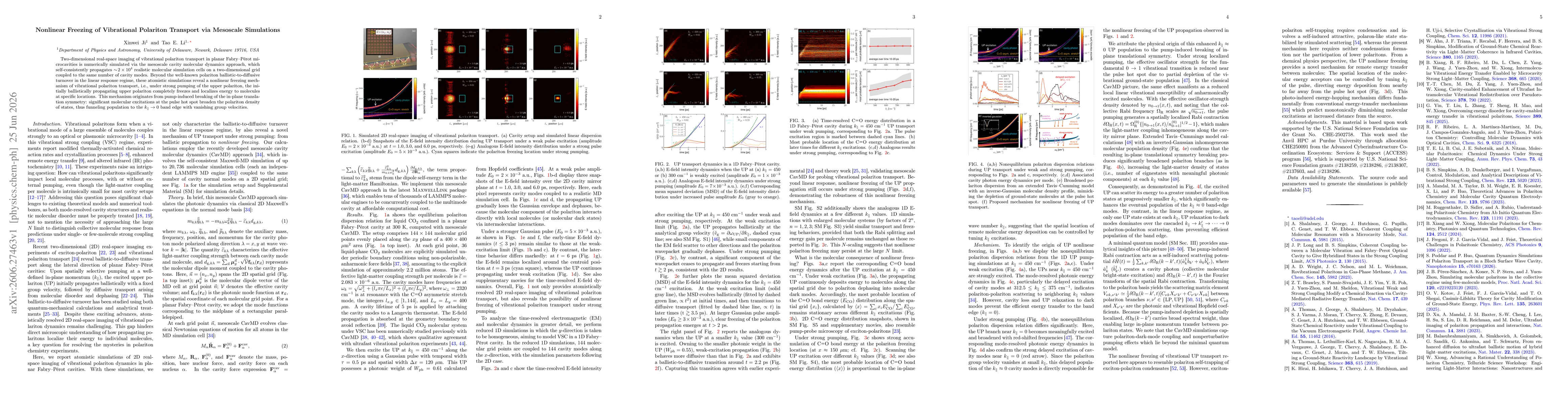Thumbnail for Nonlinear Freezing of Vibrational Polariton Transport via Mesoscale Simulations