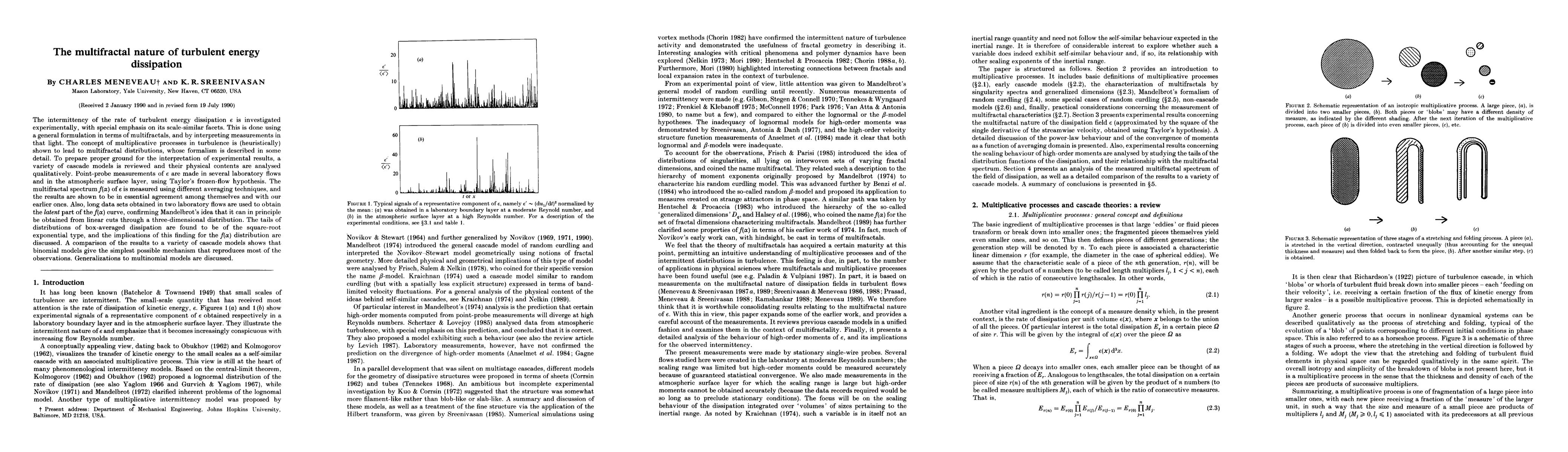 Thumbnail for The multifractal nature of turbulent energy dissipation