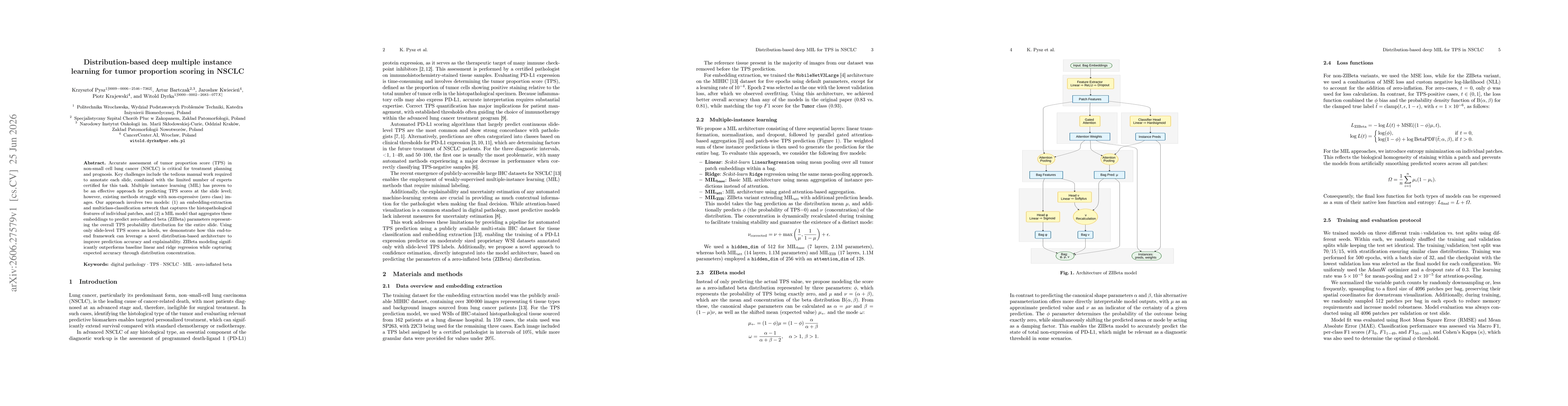 Thumbnail for Distribution-based deep multiple instance learning for tumor proportion scoring in NSCLC