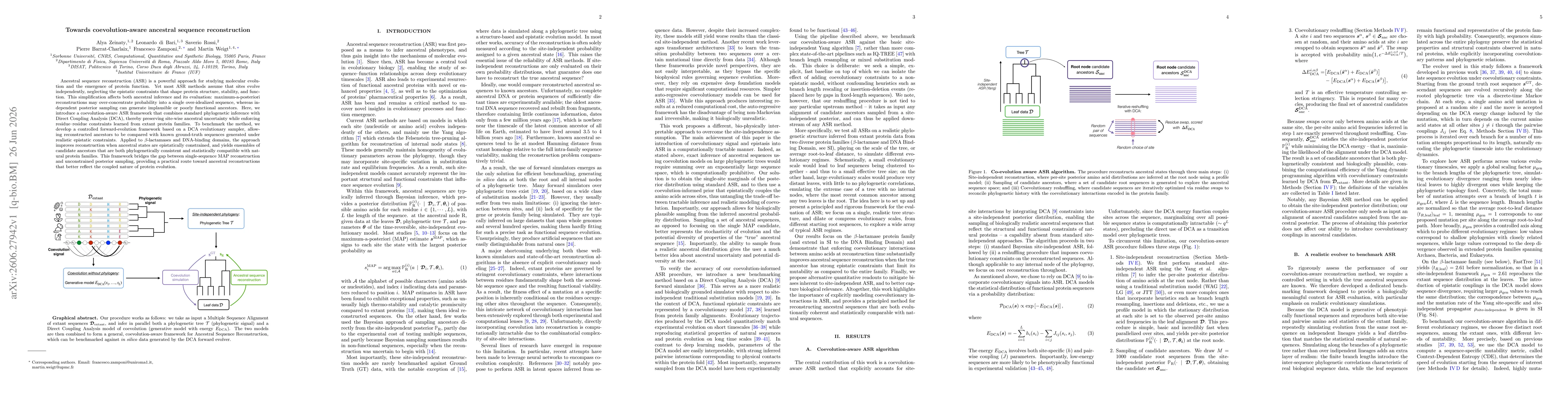 Thumbnail for Towards coevolution-aware ancestral sequence reconstruction