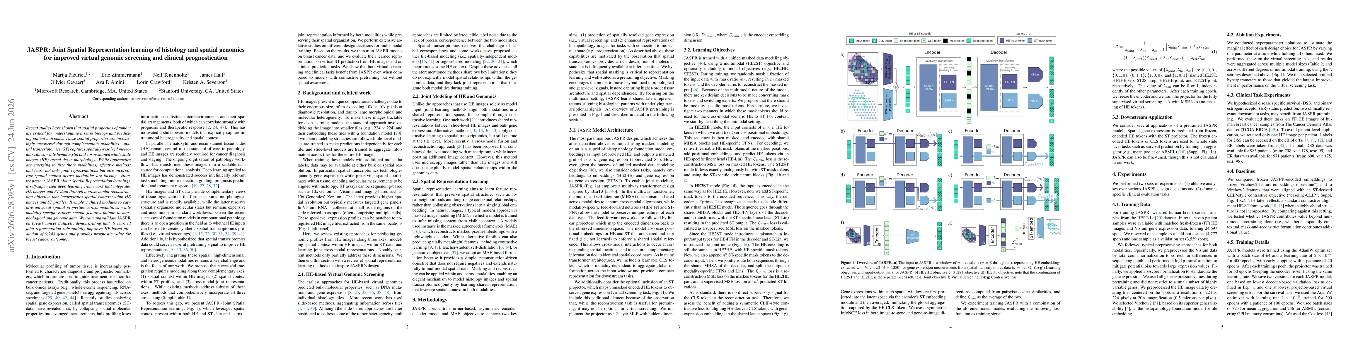 Thumbnail for JASPR: Joint Spatial Representation learning of histology and spatial genomics for improved virtual genomic screening and clinical prognostication