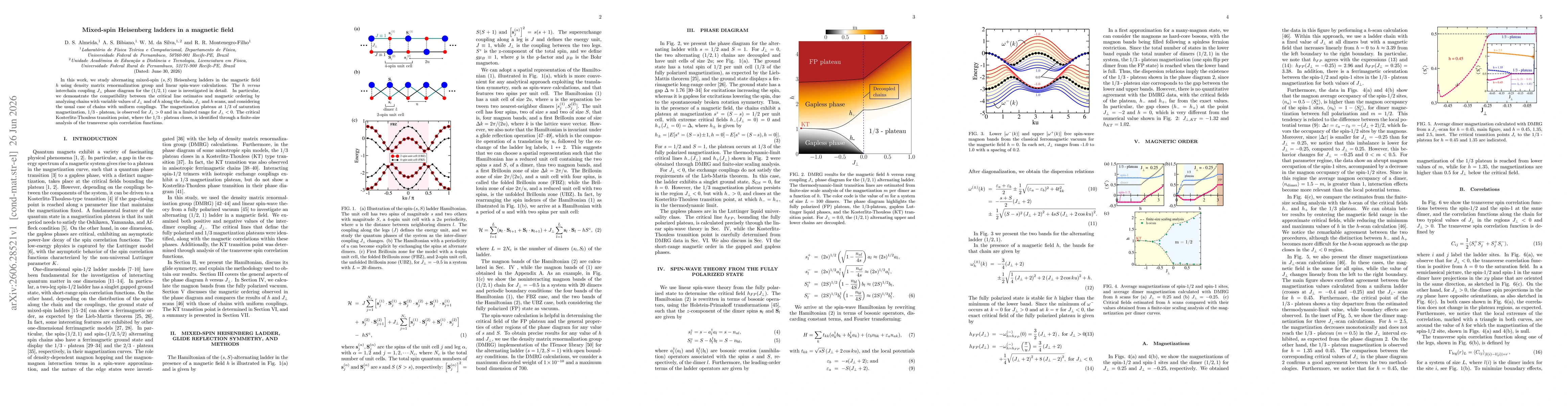 Thumbnail for Mixed-spin Heisenberg ladders in a magnetic field