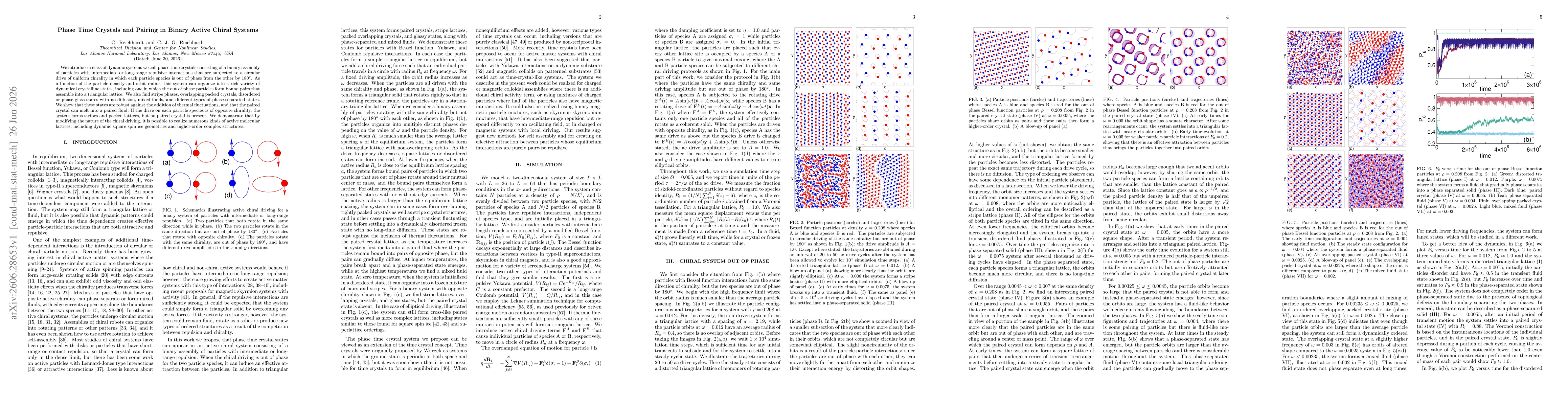 Thumbnail for Phase Time Crystals and Pairing in Binary Active Chiral Systems