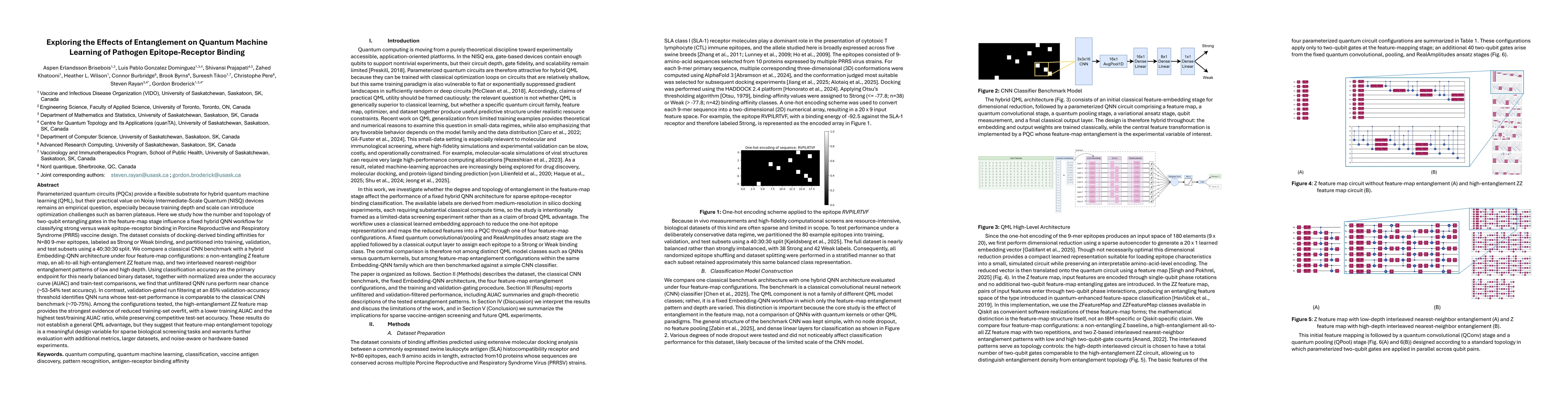 Thumbnail for Exploring the Effects of Entanglement on Quantum Machine Learning of Pathogen Epitope-Receptor Binding