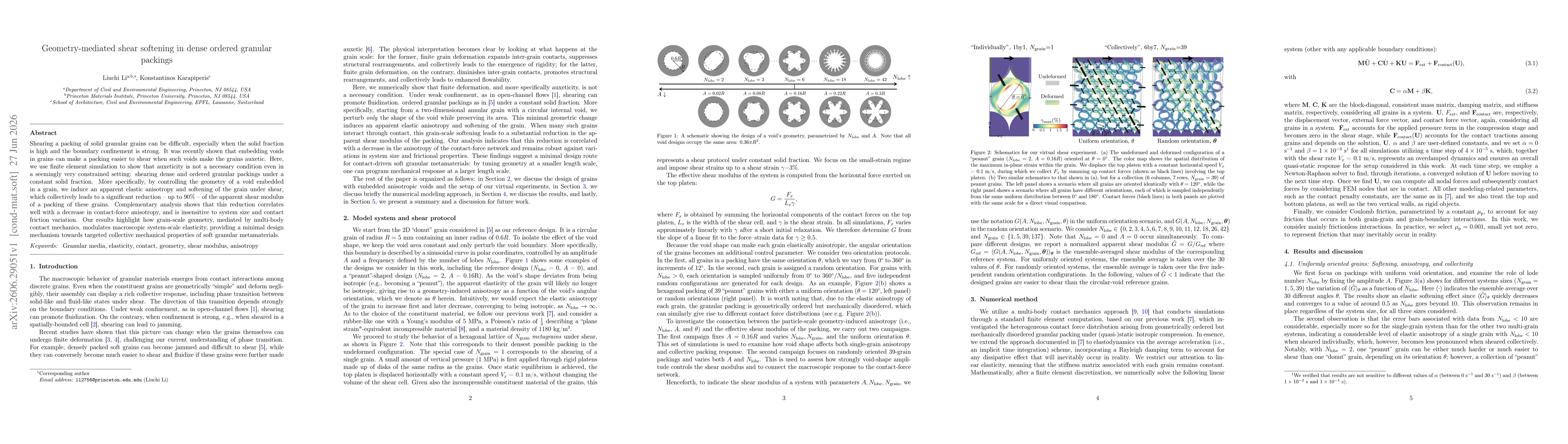 Thumbnail for Geometry-mediated shear softening in dense ordered granular packings