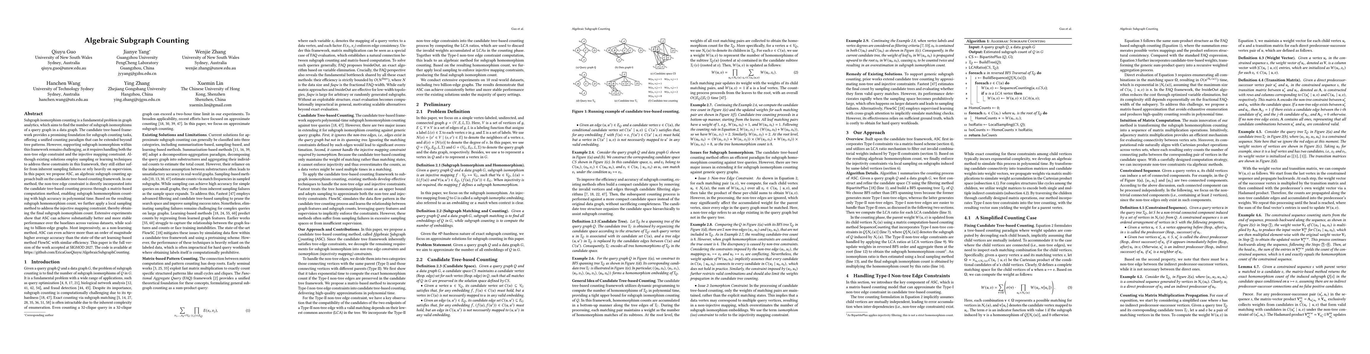 Thumbnail for Algebraic Subgraph Counting
