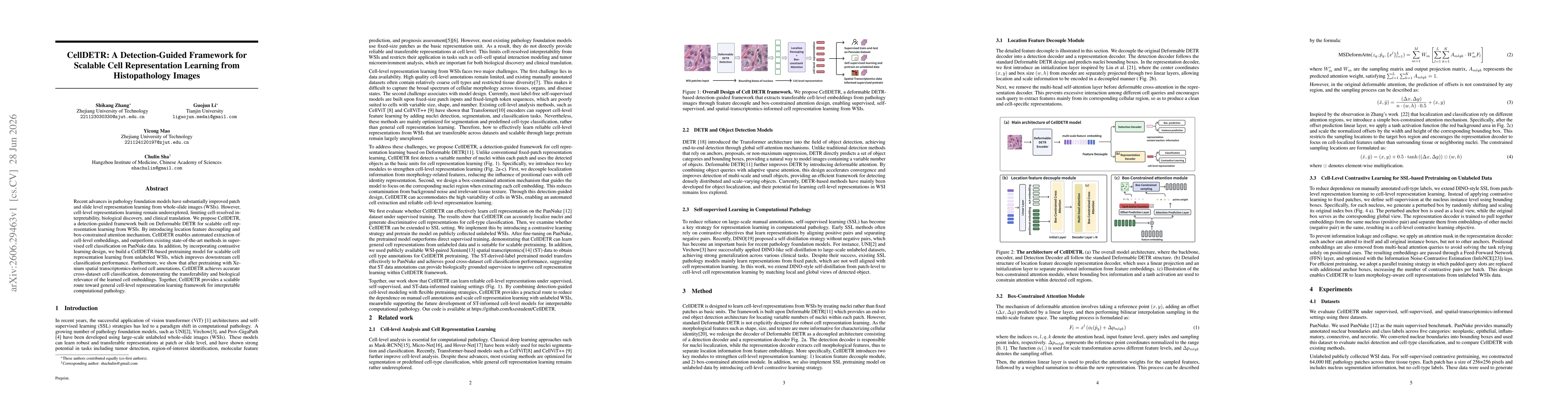 Thumbnail for CellDETR: A Detection-Guided Framework for Scalable Cell Representation Learning from Histopathology Images