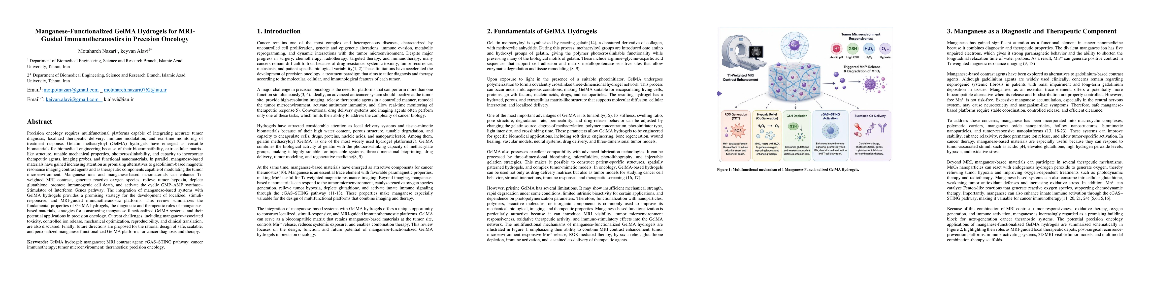 Thumbnail for Manganese-Functionalized GelMA Hydrogels for MRI-Guided Immunotheranostics in Precision Oncology
