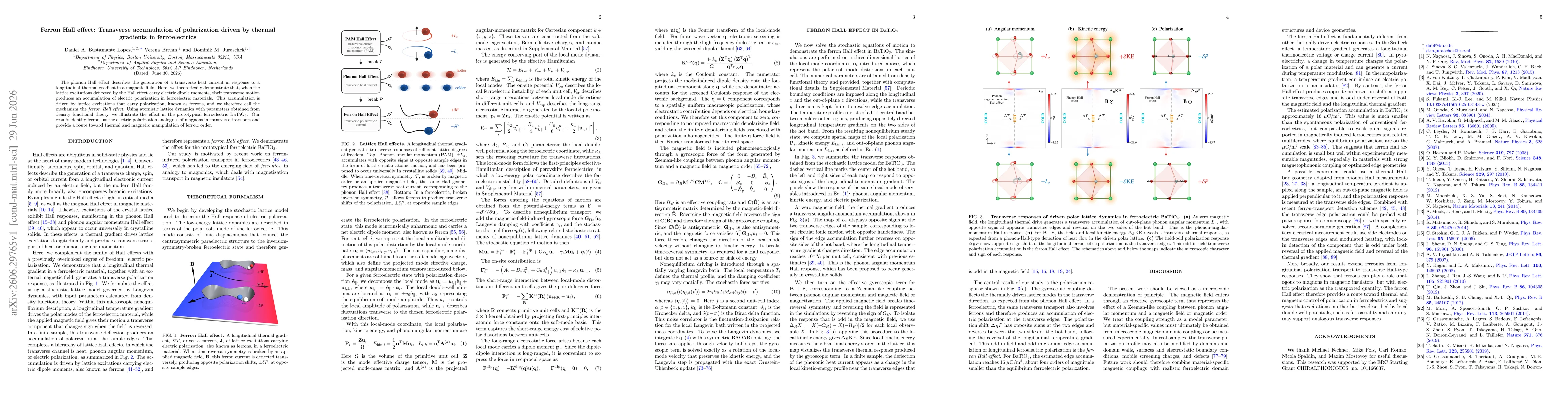 Thumbnail for Ferron Hall effect: Transverse accumulation of polarization driven by thermal gradients in ferroelectrics
