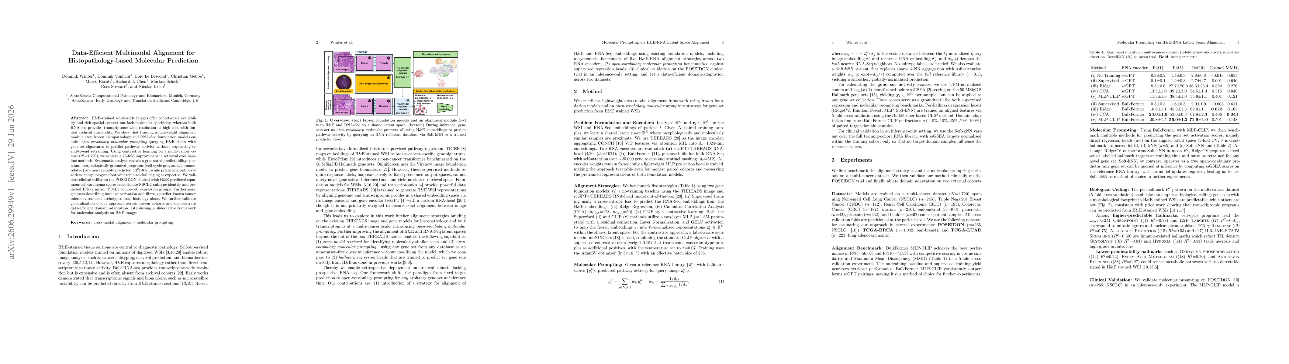 Thumbnail for Data-Efficient Multimodal Alignment for Histopathology-based Molecular Prediction