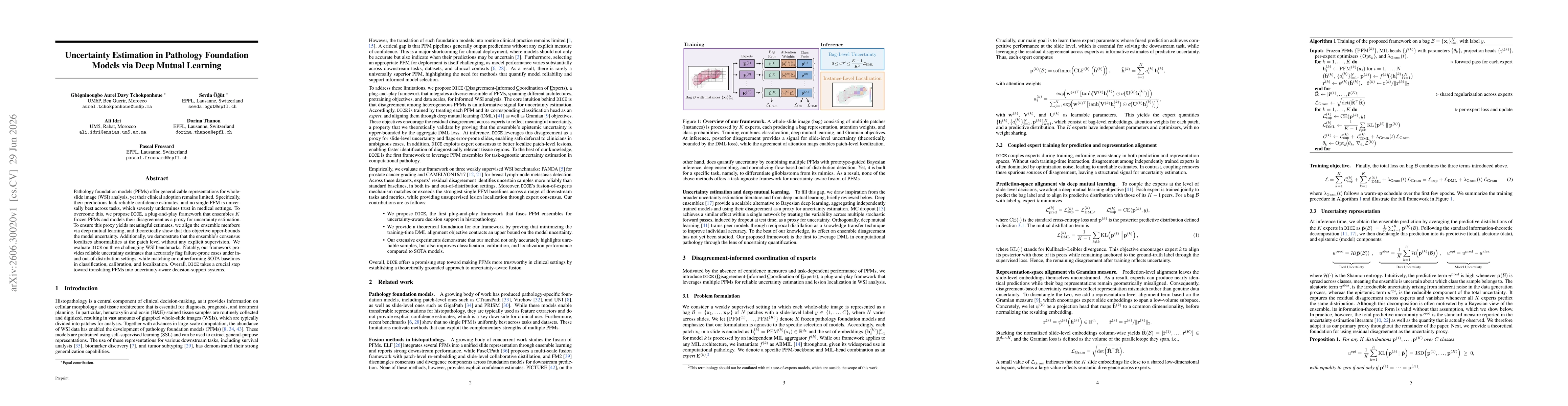 Thumbnail for Uncertainty Estimation in Pathology Foundation Models via Deep Mutual Learning