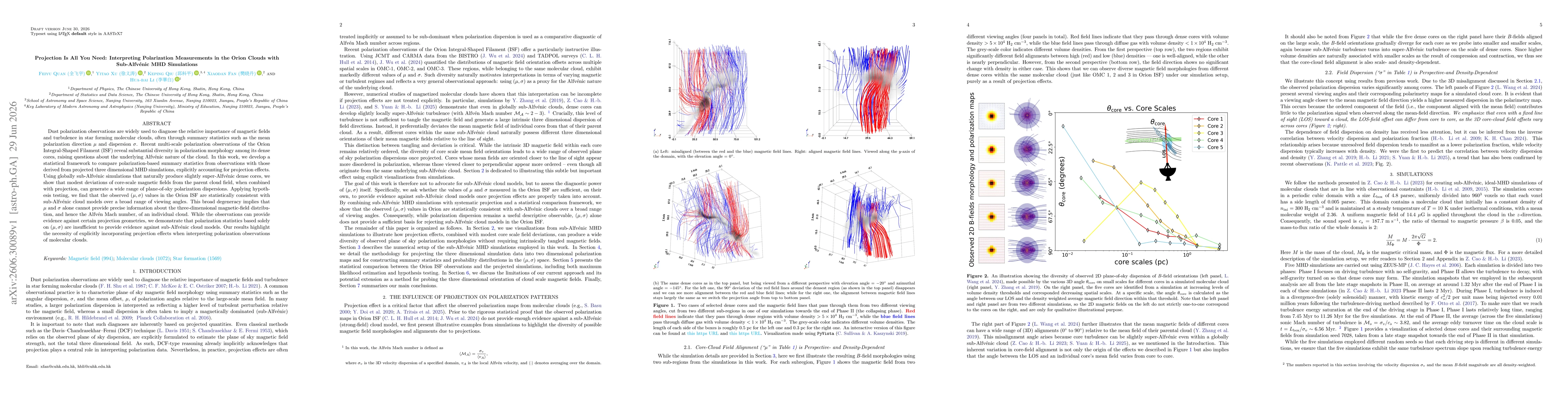 Thumbnail for Projection Is All You Need: Interpreting Polarization Measurements in the Orion Clouds with Sub-Alfvénic MHD Simulations