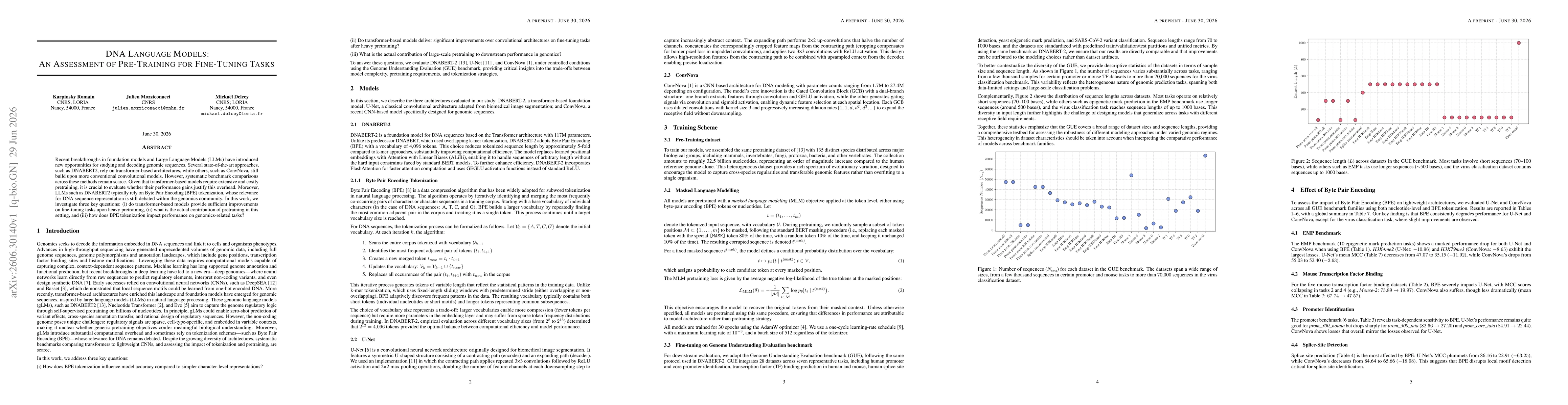 Thumbnail for DNA Language Models: An Assessment of Pre-Training for Fine-Tuning Tasks