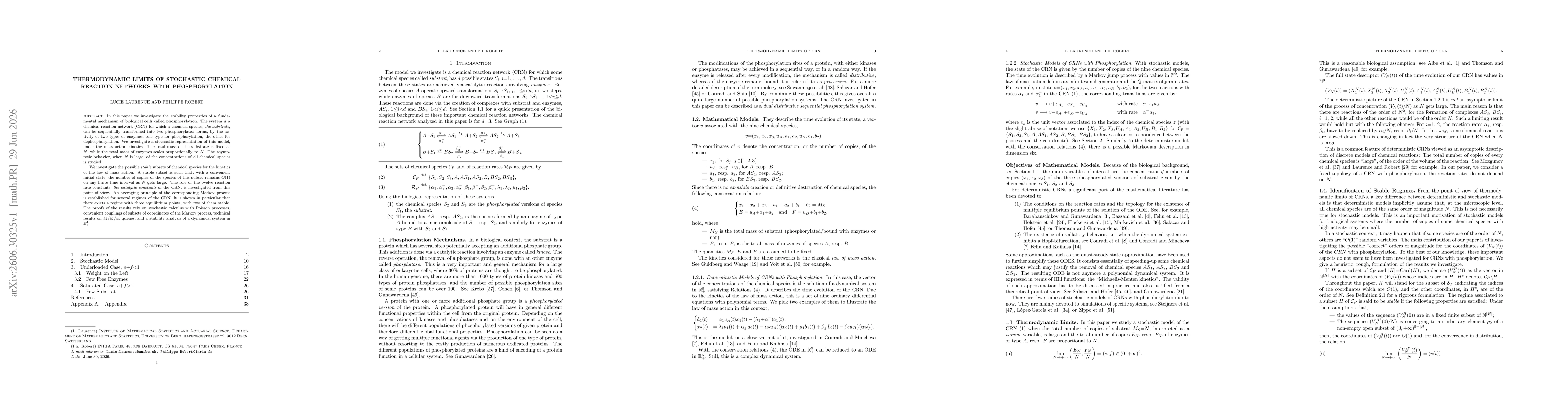 Thumbnail for Thermodynamic Limits of Stochastic Chemical Reaction Networks with Phosphorylation