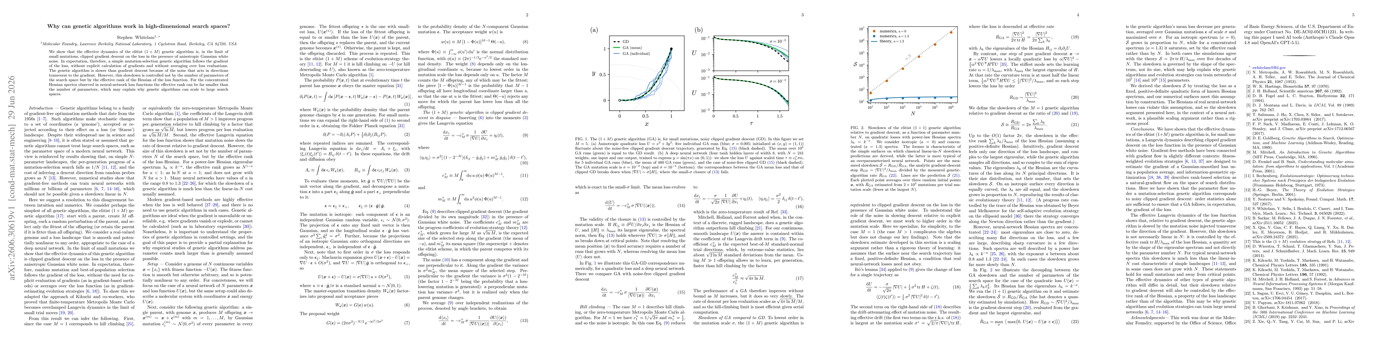 Thumbnail for Why can genetic algorithms work in high-dimensional search spaces?