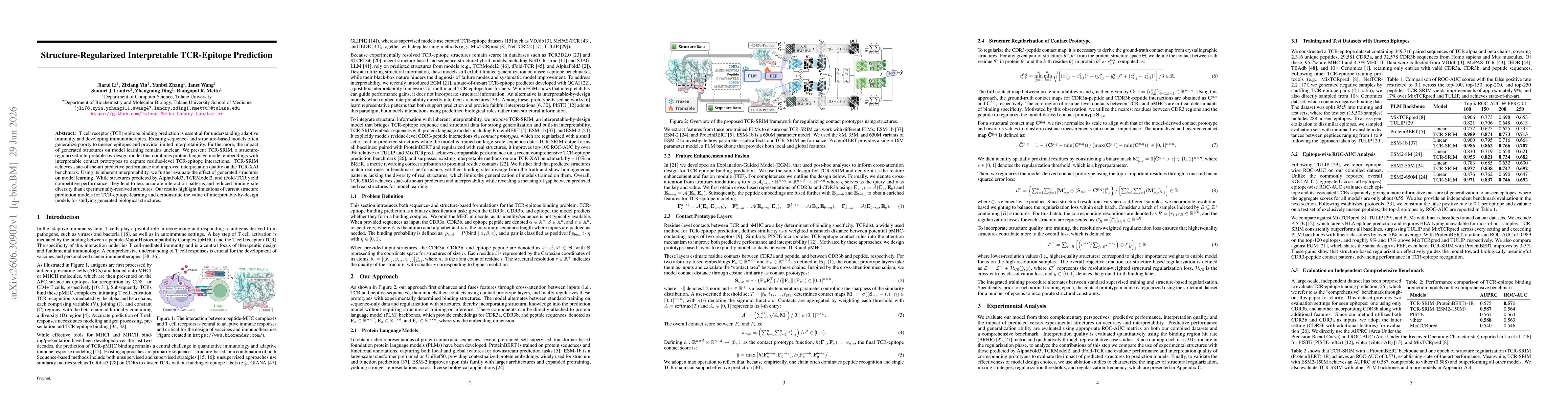 Thumbnail for Structure-Regularized Interpretable TCR-Epitope Prediction