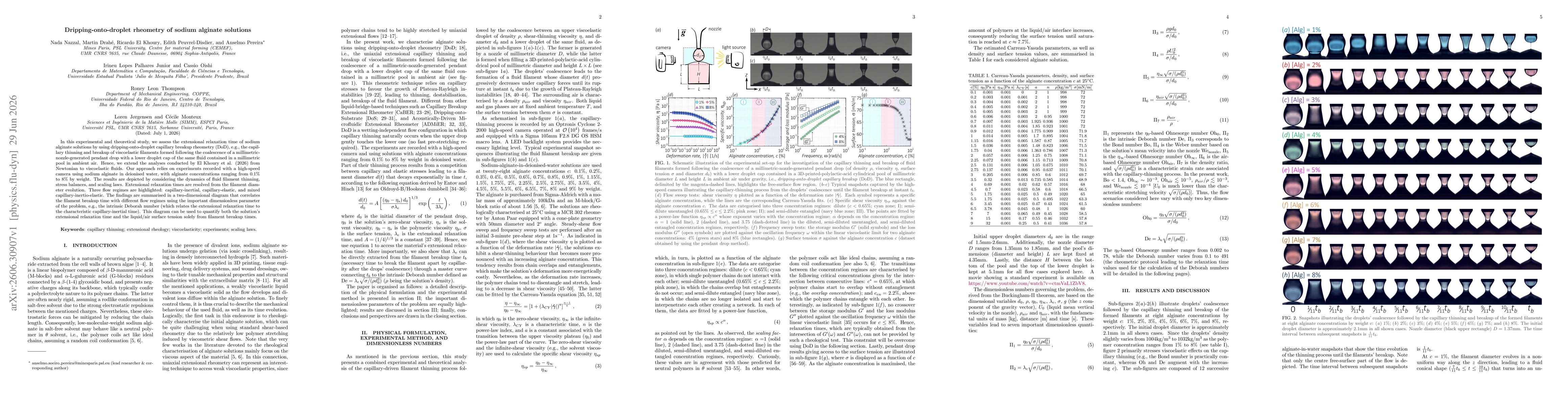 Thumbnail for Dripping-onto-droplet rheometry of sodium alginate solutions