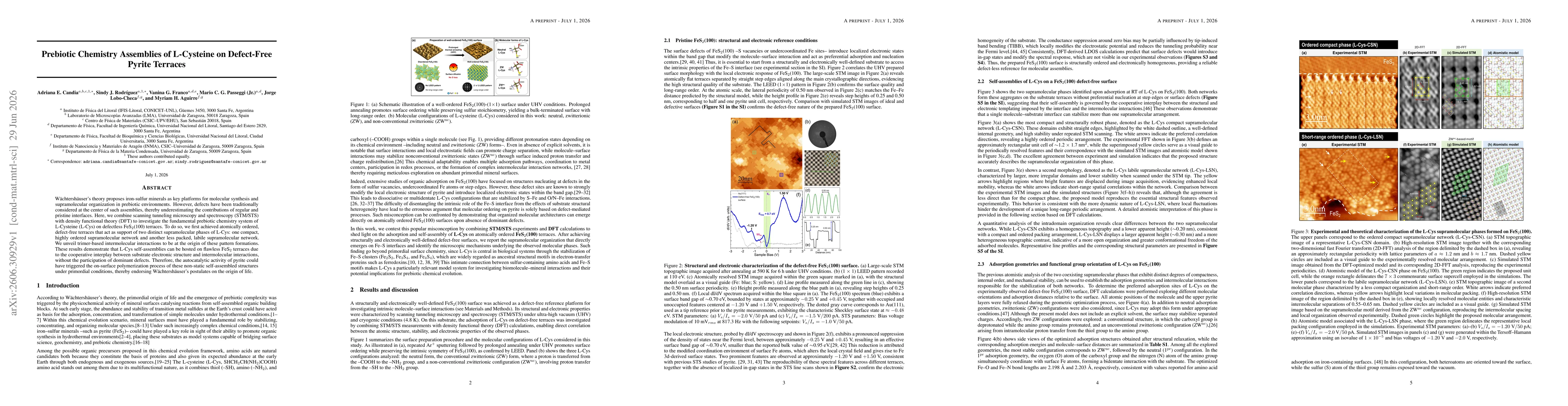Thumbnail for Prebiotic Chemistry Assemblies of L-Cysteine on Defect-Free Pyrite Terraces