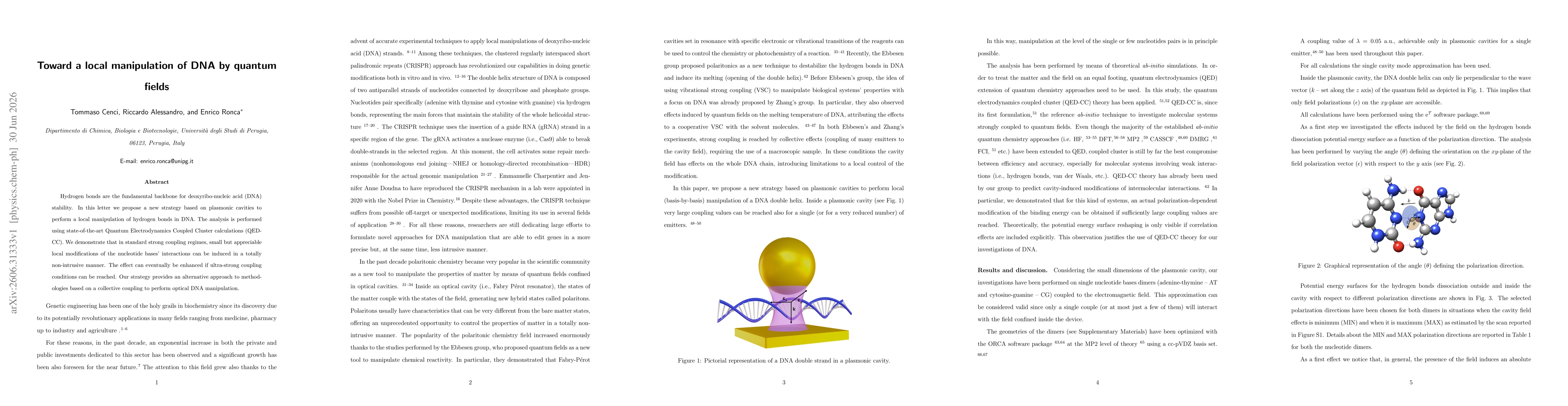 Thumbnail for Toward a local manipulation of DNA by quantum fields