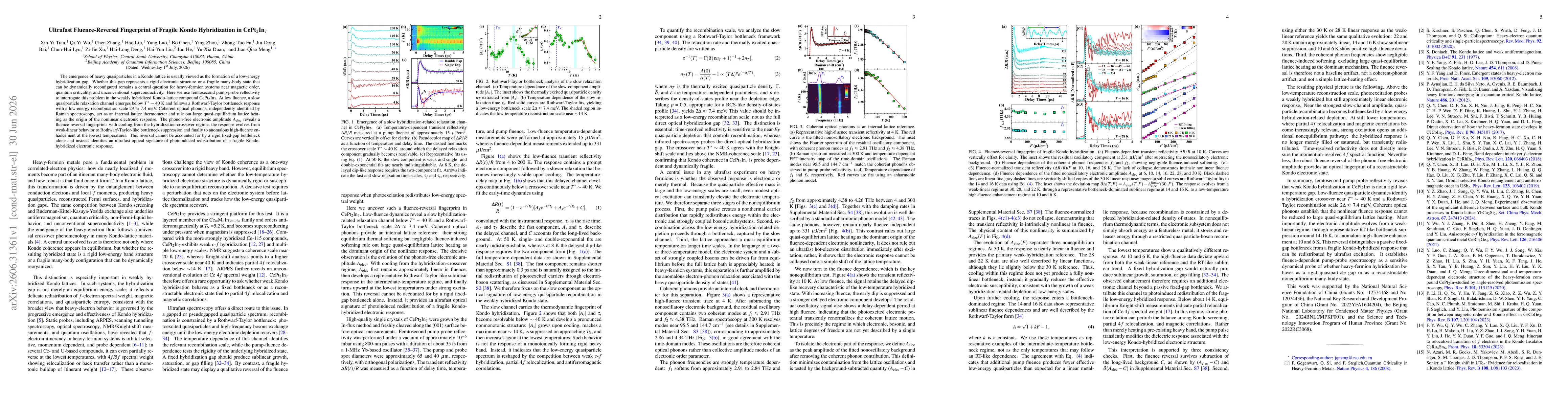 Thumbnail for Ultrafast Fluence-Reversal Fingerprint of Fragile Kondo Hybridization in CePt$_2$In$_7$