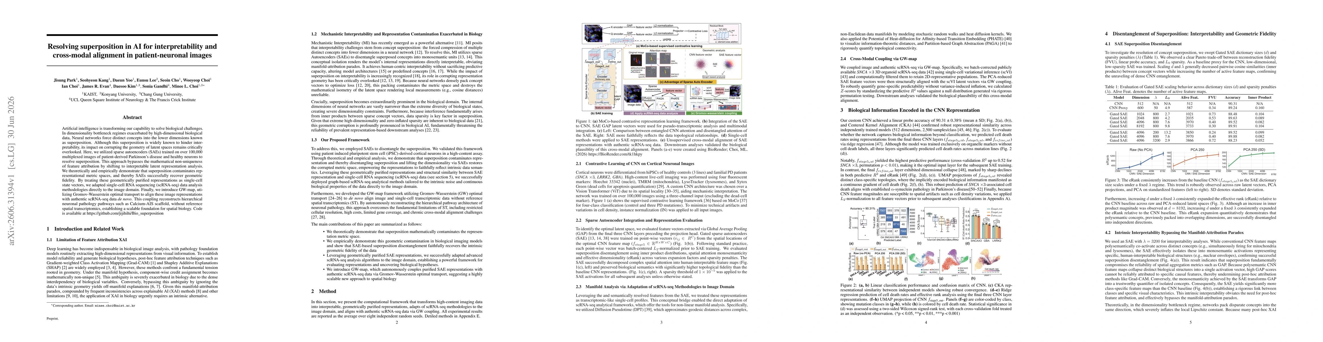 Thumbnail for Resolving superposition in AI for interpretability and cross-modal alignment in patient-neuronal images