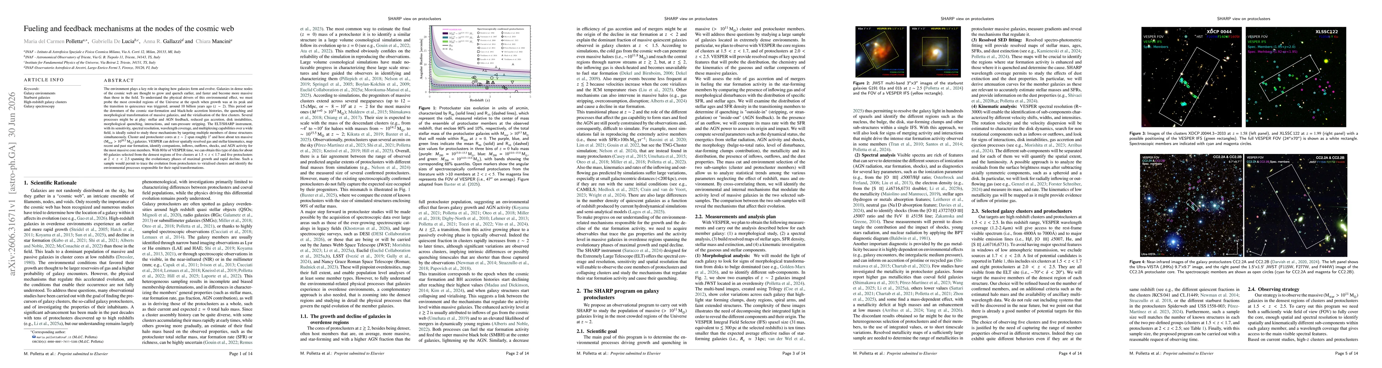 Thumbnail for Fueling and feedback mechanisms at the nodes of the cosmic web