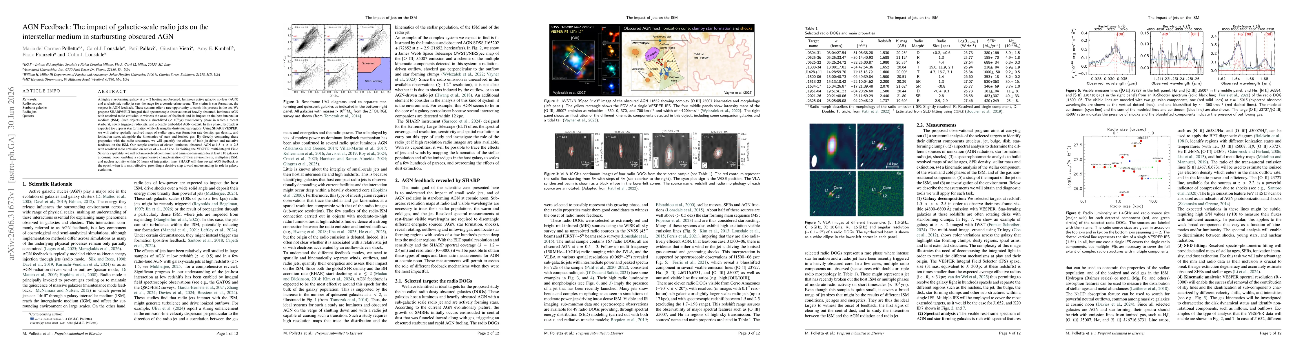 Thumbnail for AGN Feedback: The impact of galactic-scale radio jets on the interstellar medium in starbursting obscured AGN