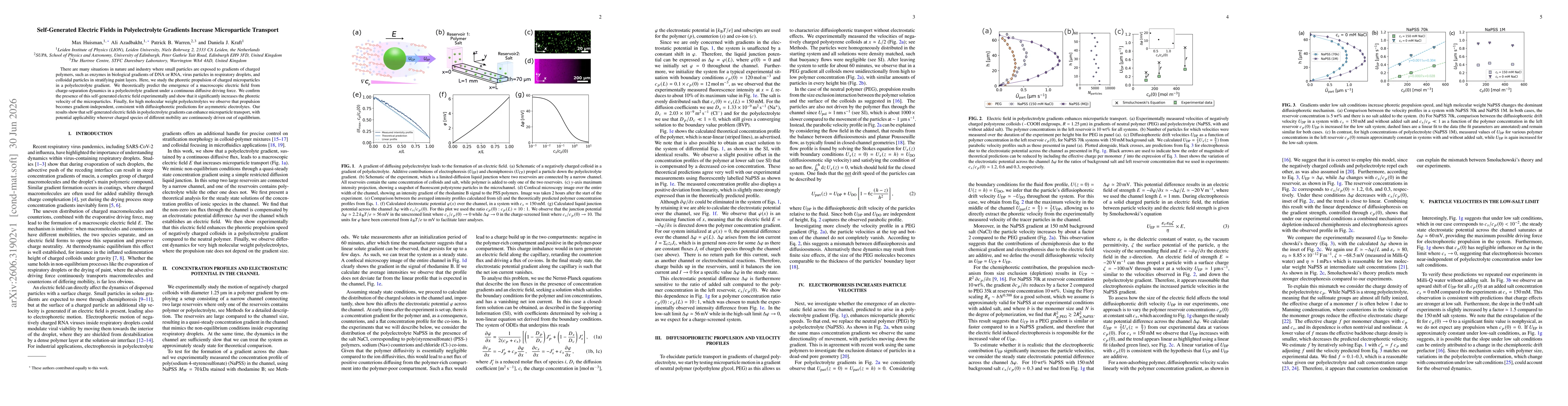 Thumbnail for Self-Generated Electric Fields in Polyelectrolyte Gradients Increase Microparticle Transport