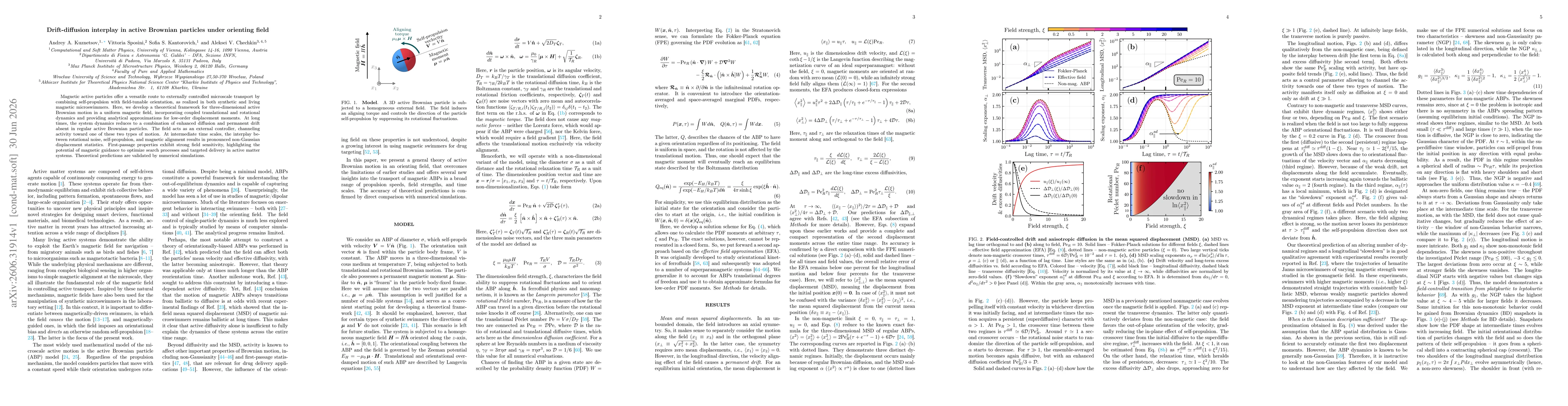 Thumbnail for Drift-diffusion interplay in active Brownian particles under orienting field