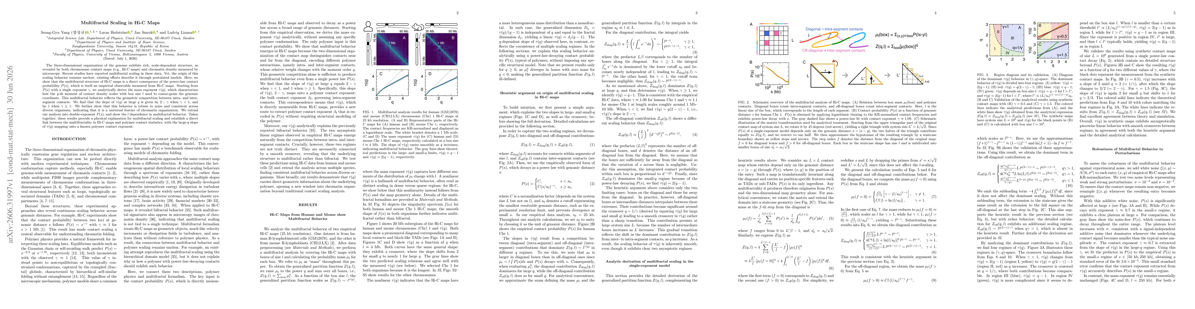 Thumbnail for Multifractal Scaling in Hi-C Maps