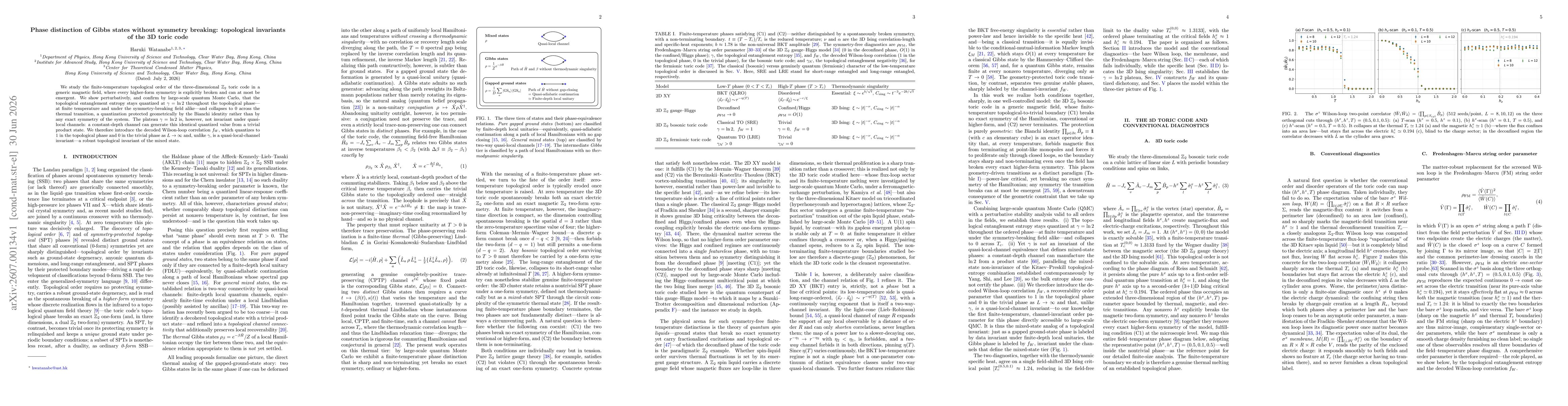 Thumbnail for Phase distinction of Gibbs states without symmetry breaking: topological invariants of the 3D toric code