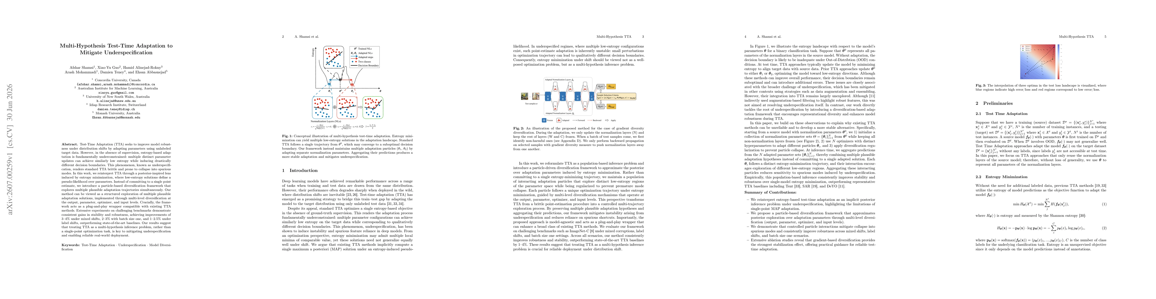 Thumbnail for Multi-Hypothesis Test-Time Adaptation to Mitigate Underspecification