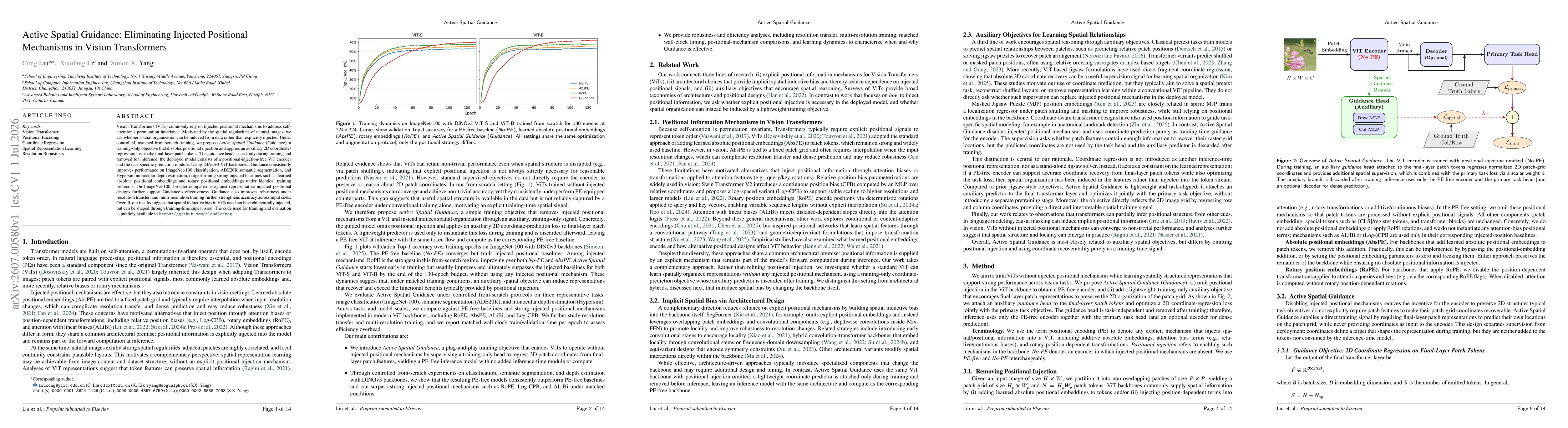 Thumbnail for Active Spatial Guidance: Eliminating Injected Positional Mechanisms in Vision Transformers
