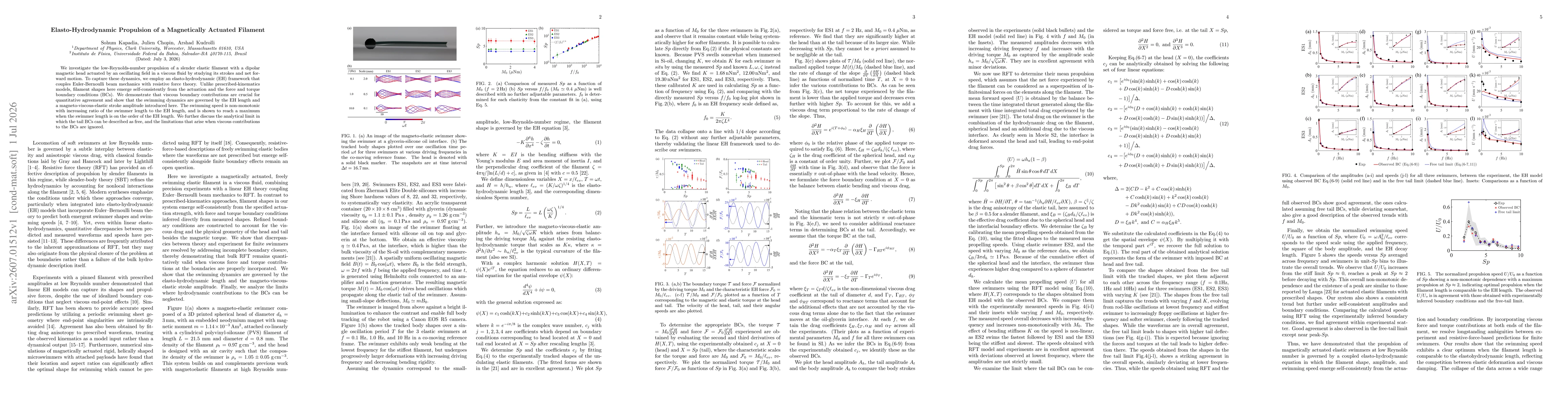 Thumbnail for Elasto-Hydrodynamic Propulsion of a Magnetically Actuated Filament