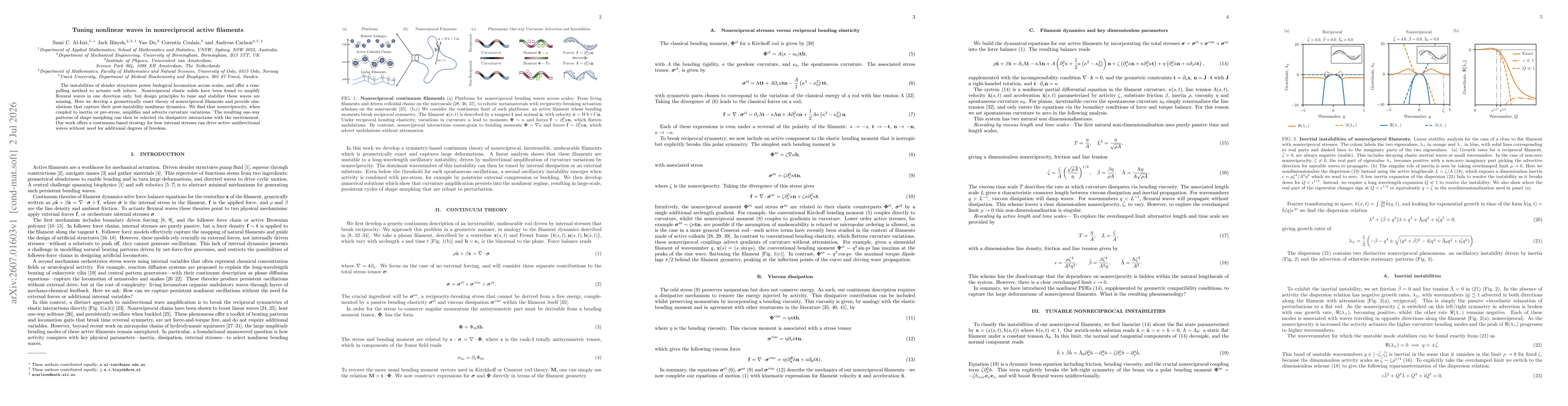 Thumbnail for Tuning nonlinear waves in nonreciprocal active filaments