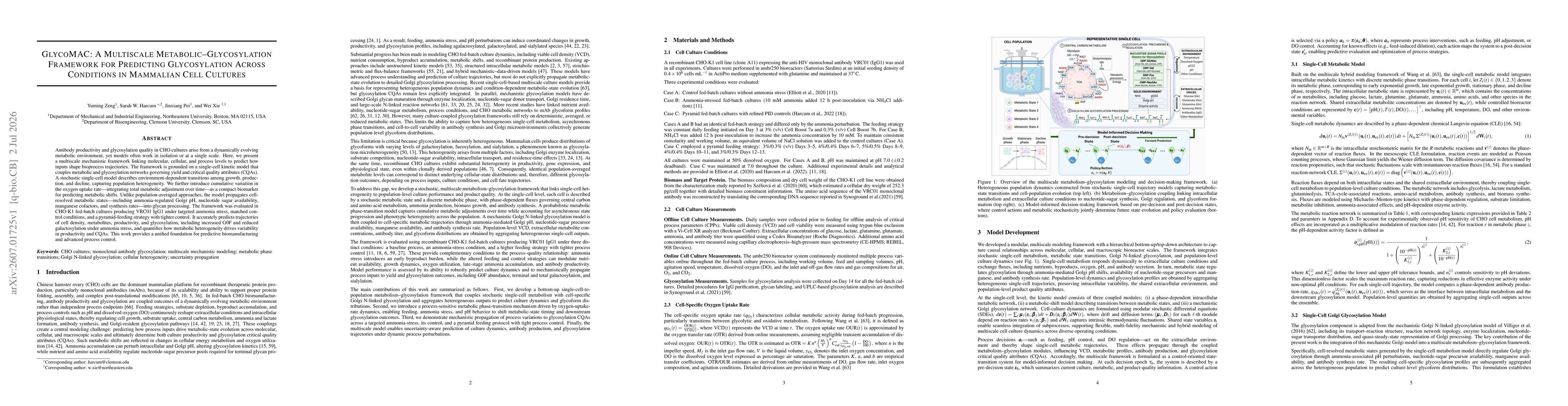 Thumbnail for GlycoMAC: A Multiscale Metabolic-Glycosylation Framework for Predicting Glycosylation Across Conditions in Mammalian Cell Cultures
