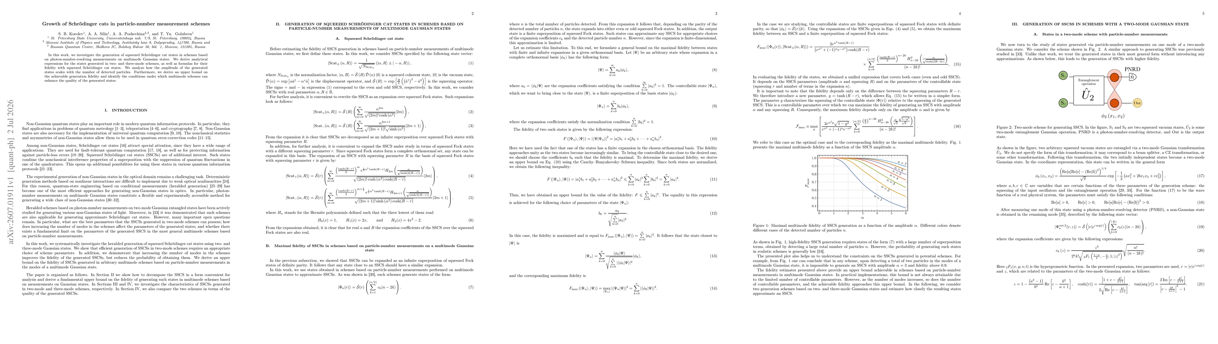 Thumbnail for Growth of Schrödinger cats in particle-number measurement schemes