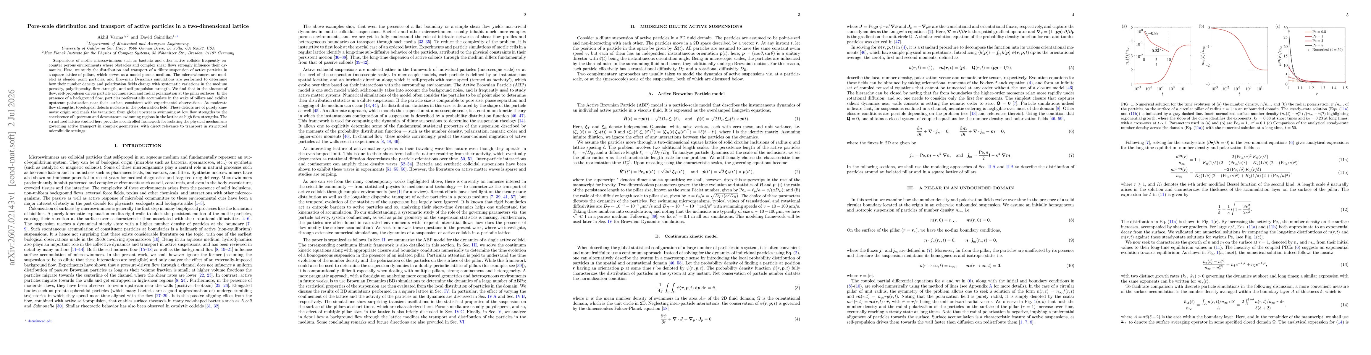Thumbnail for Pore-scale distribution and transport of active particles in a two-dimensional lattice