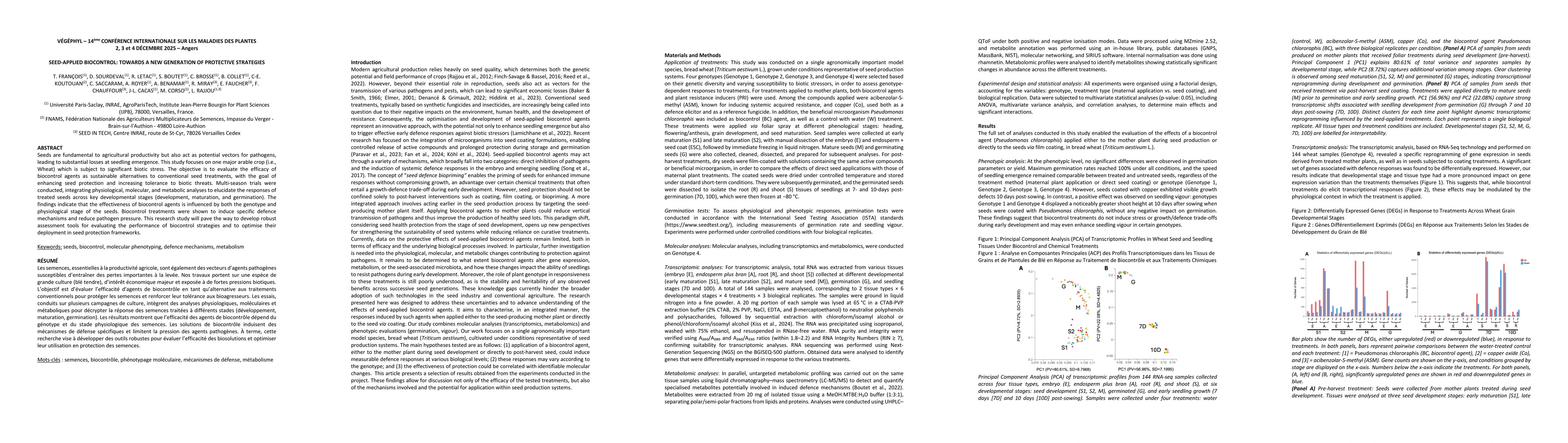 Thumbnail for Seed-applied biocontrol: towards a new generation of protective strategies