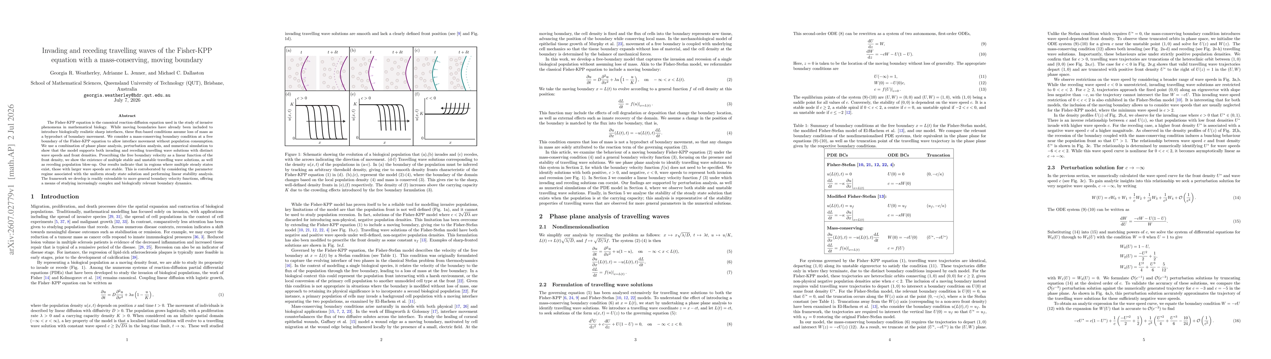 Thumbnail for Invading and receding travelling waves of the Fisher-KPP equation with a mass-conserving, moving boundary