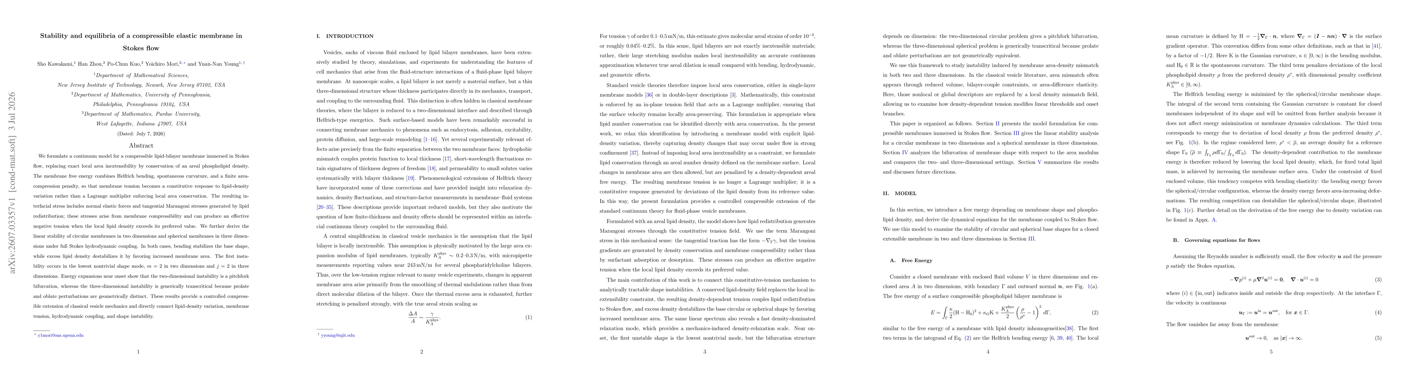 Thumbnail for Stability and equilibria of a compressible elastic membrane in Stokes flow