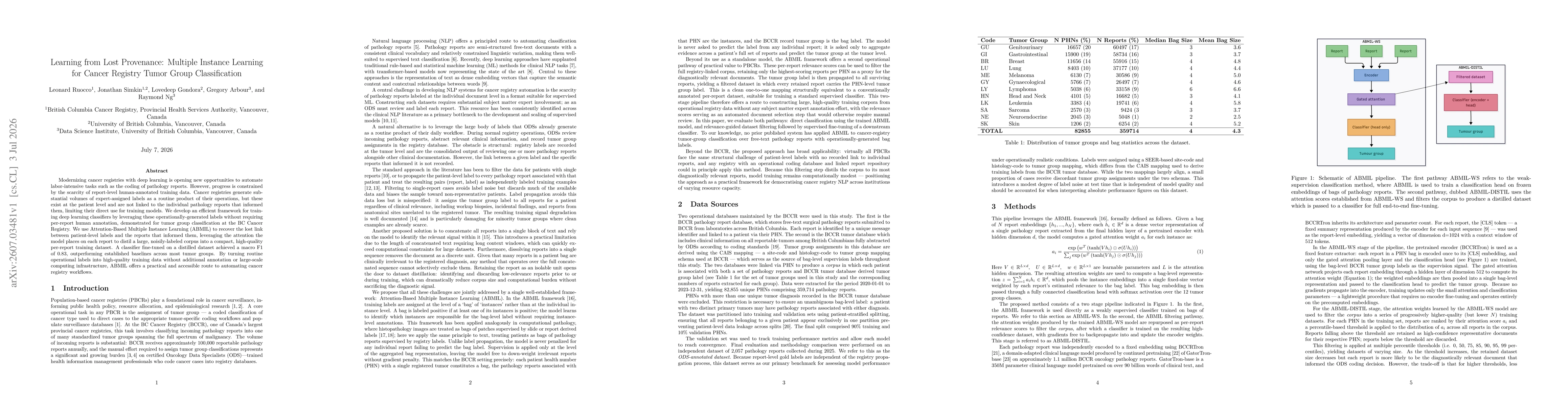 Thumbnail for Learning from Lost Provenance: Multiple Instance Learning for Cancer Registry Tumor Group Classification