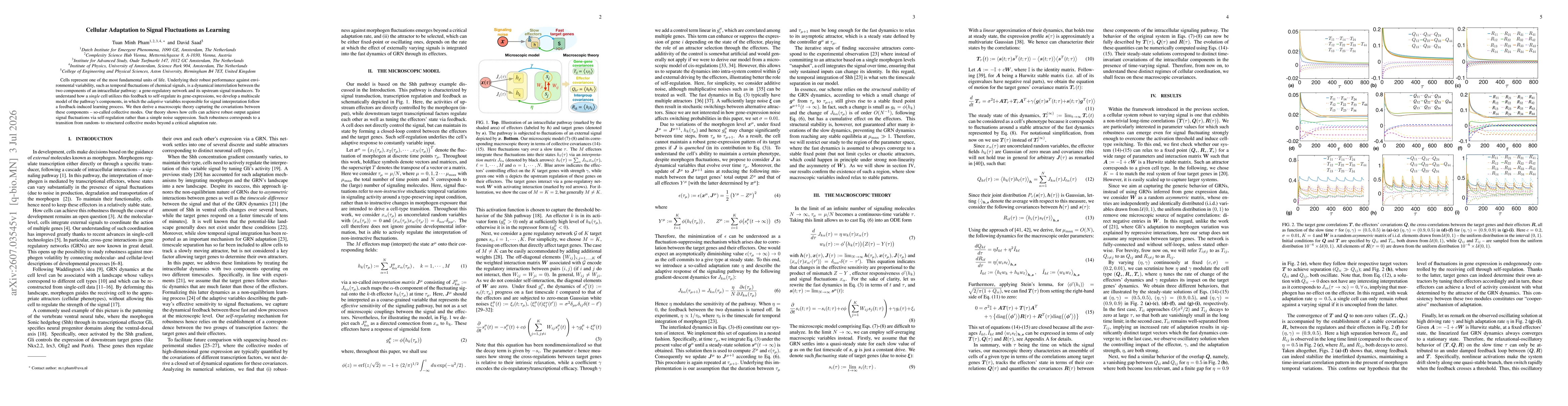 Thumbnail for Cellular Adaptation to Signal Fluctuations as Learning