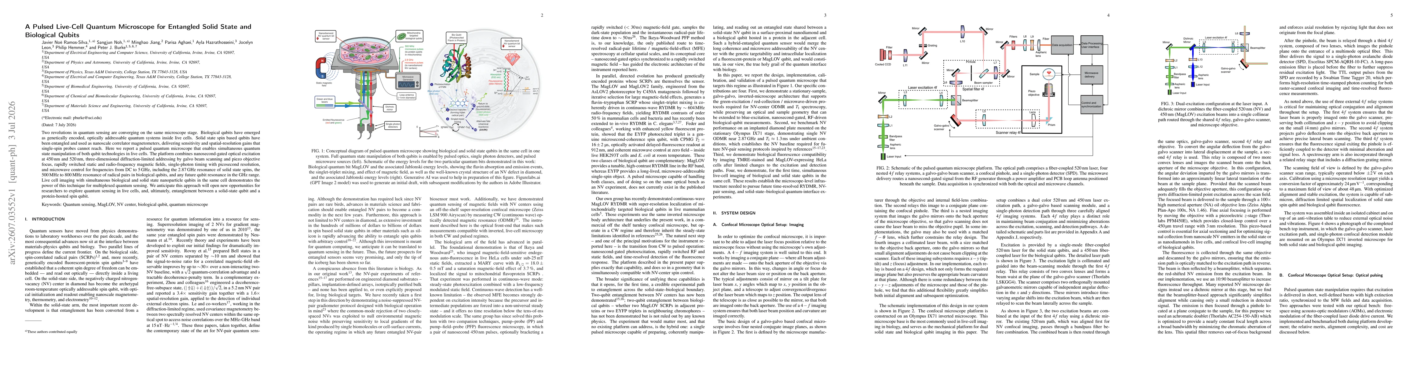 Thumbnail for A Pulsed Live-Cell Quantum Microscope for Entangled Solid State and Biological Qubits