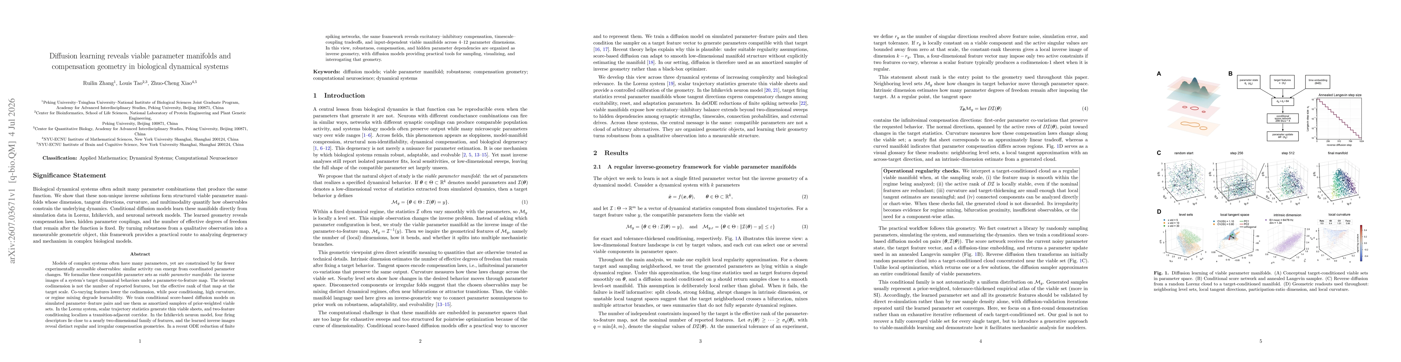 Thumbnail for Diffusion learning reveals viable parameter manifolds and compensation geometry in biological dynamical systems